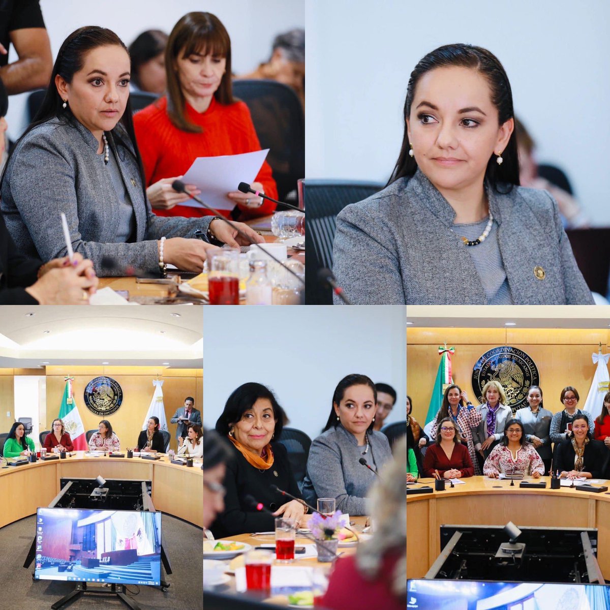 Reunión del Grupo Plural
Presentamos iniciativas que nos ayudarán a avanzar en la garantía de derechos de las mujeres 

Presenté la serie de reformas que darán cumplimiento a la Sentencia Mariana Lima Buendía promovidas por doña Irinea Buendía:

- Que toda muerte violenta de