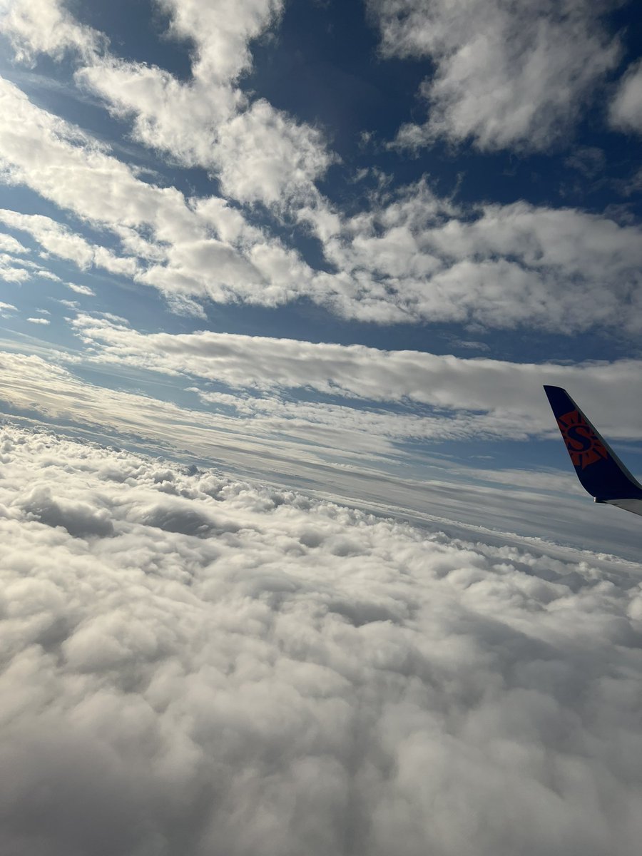 Hussle⛹🏽‍♂️ tweet media