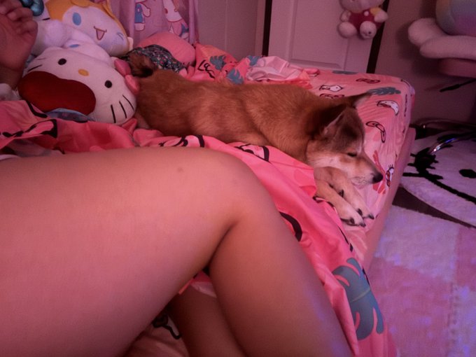 reading berserk to ponyo https://t.co/58brC8GniS