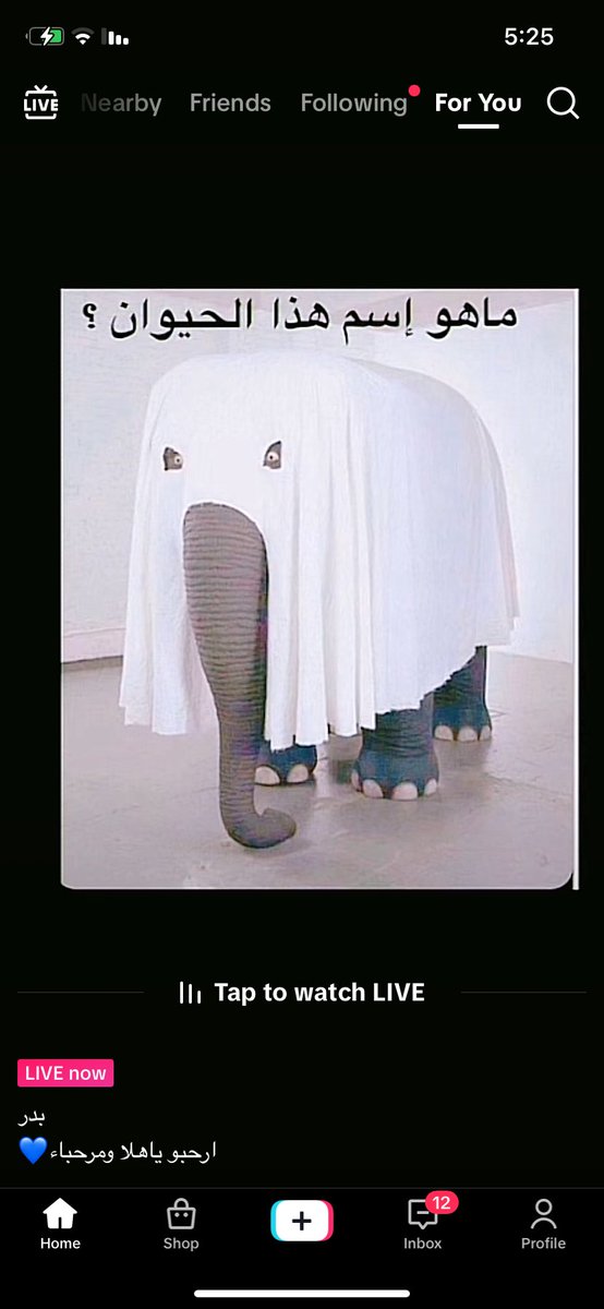 1verycutethings's tweet image. Who the smart  knows who there 😂 ? 

--------------------------------
#dwts   #UniswapDEXExploit #OpenSeaSecurityBreach Bernie &quot;Nikki Haley&quot; Lavine Univision Colgate #TheNetflixCup #TheNetflixCup Chet Oklahoma