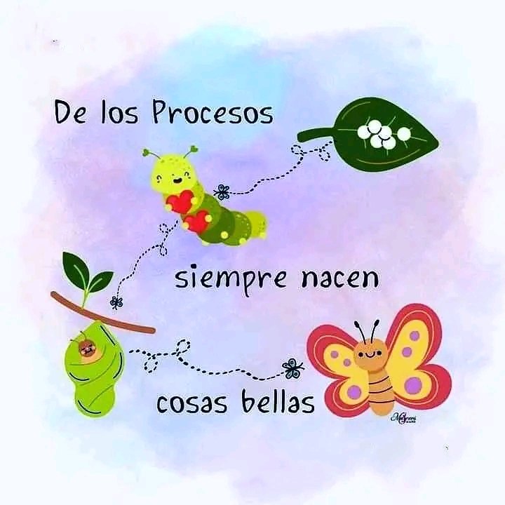 Feliz noche