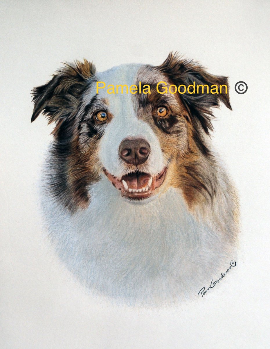 Booked for holiday gifts.  Now taking commissions for all other occasions. Don’t forget VALENTINES DAY!

#dog #dogsofinstagram #dogs #doglover #ilovemydog #rescuedog #doglove #dogmom #dogtraining #doglife #Doggrooming #Doginstagram #dogsmile #Dogselfie #dogpics #Dogadventures