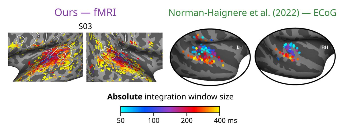 Alexander Huth tweet media