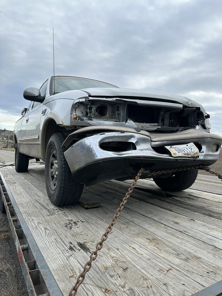 em_odlin's tweet photo. I’ve been trying to figure out a way to get a new/bigger pickup but smacking a deer going 80 and totaling mine wasn’t how I planned for this to happen 😅🤷🏻‍♀️ (and yes we butchered him because I was going to get something out of that wreck) https://t.co/4BkIQeIorm