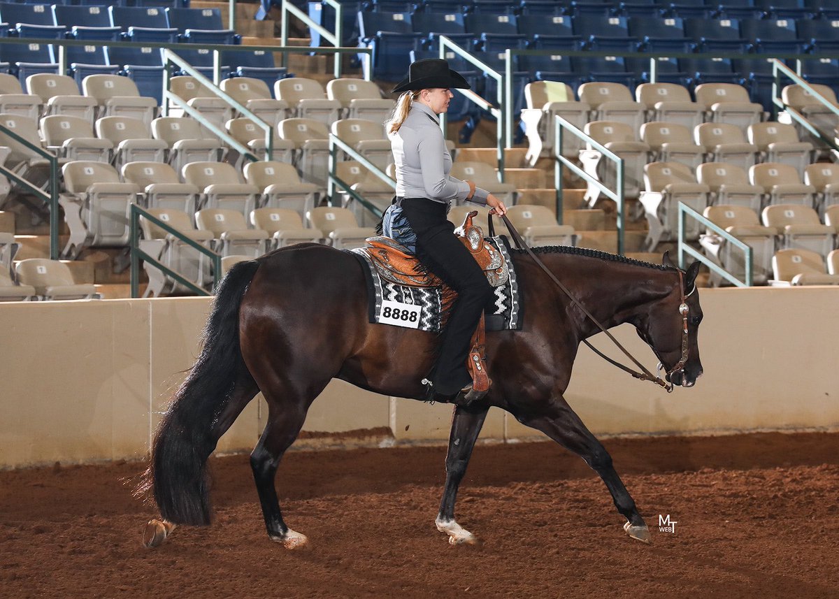 kaileytried's tweet photo. Assistant trainer life (fall edition) https://t.co/xyFB49rbmi