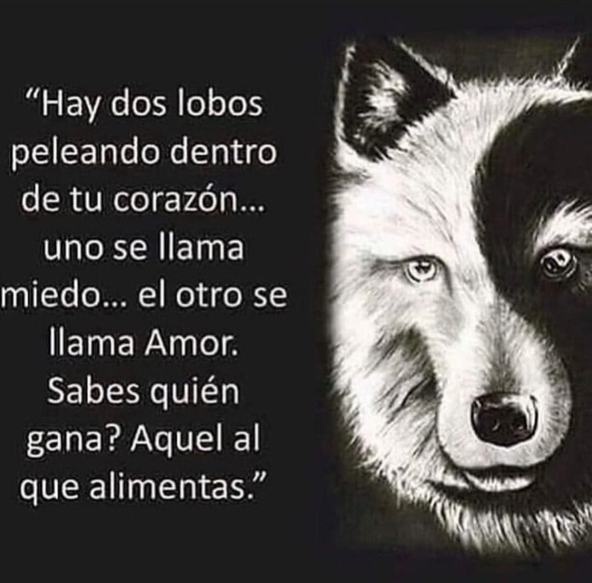 Paulo Coelho Español (@paulocoelhodice) on Twitter photo 