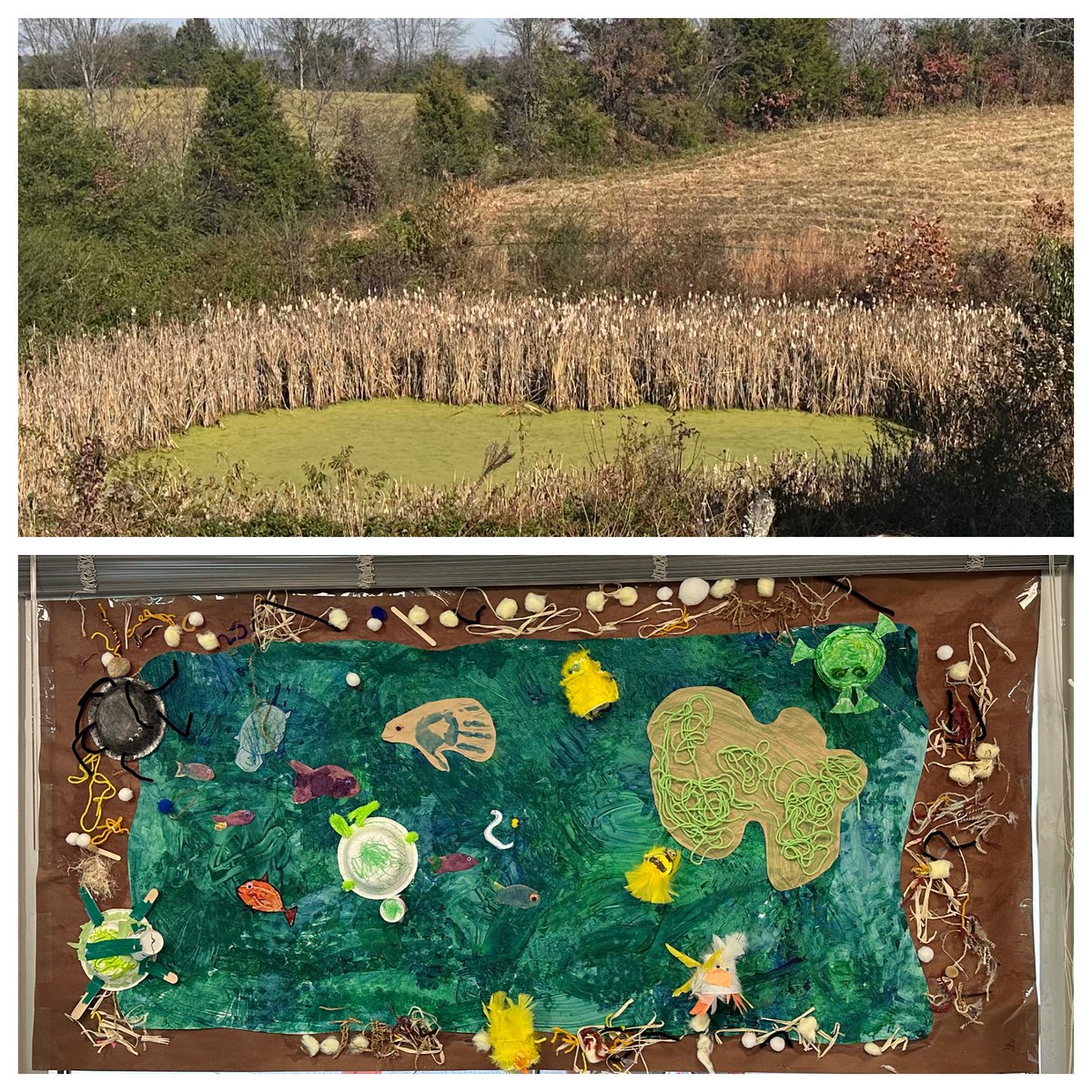 Here is our inspiration and the final product of our collaboration with Ms. Sarah’s preK friends. From our field trip walking to the back pond to our handmade mural! #readingbuddies #fosteringrelationships