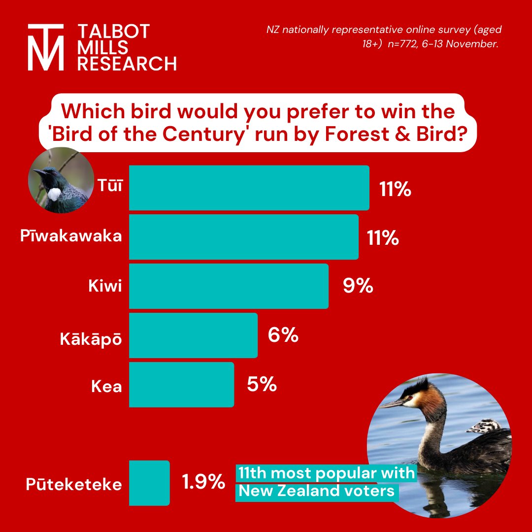 talbotmills's tweet photo. Feathers have been ruffled due to the massive number of overseas votes cast in the Bird of the Century competition. But if only Kiwis were able to vote which bird would be top of the nest? Hint - it isn't the Pūteketeke.  @forest_and_bird @lastweektonight https://t.co/28wuAwh7Sa