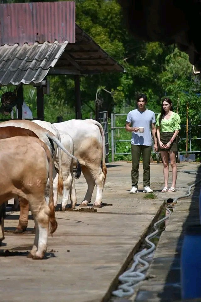 Charlotte Austin tweet media