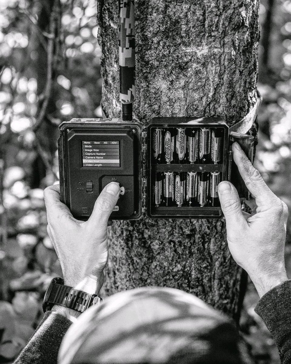 What batteries do you like to use in your cameras? What brand lasts the longest?
-
-
-
#blackgate #blackgatecameras #blackgatehunting #deerhunting #whitetail #trailcam #gamecamera #scoutingcamera