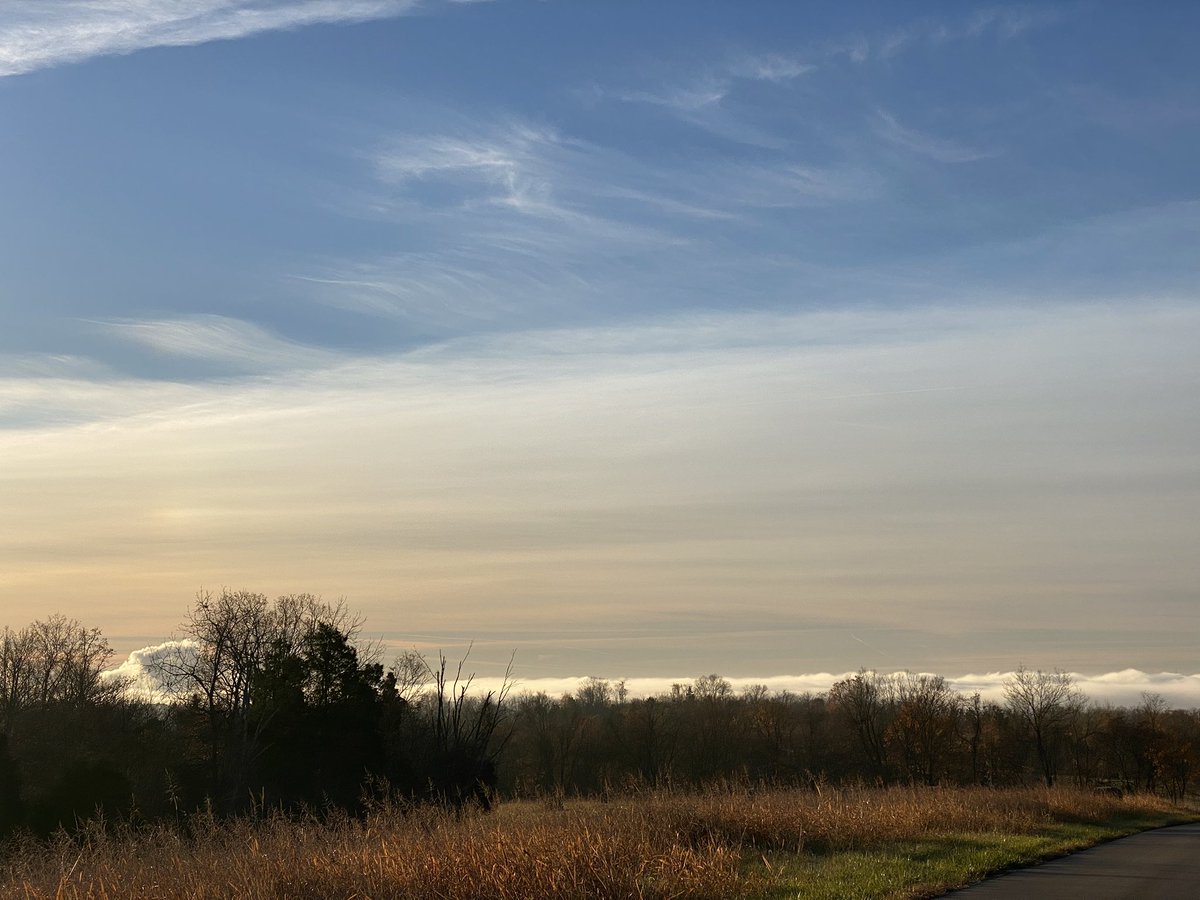 ExploitingNiche's tweet photo. On the way to town in southeast #Indiana on a beautiful ridge top country road… looking out the distant vista to #Kentucky I caught a glimpse of the fog bank on the #OhioRiver The crows were cackling in the cottonwoods at the boat ramp. #StopLink101 #Link101 https://t.co/zrzWbNRp6x