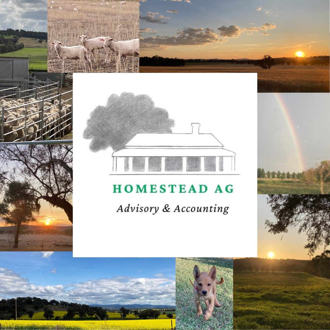 HomesteadAg's tweet image. Homestead Ag is an accounting firm partnering with farmers utilising management accounting - cash book optimisation, budgeting, reporting, consulting &amp;amp; more!
A registered tax agent, we can take care of your financial statements &amp;amp; tax  or work in with your existing tax accountant