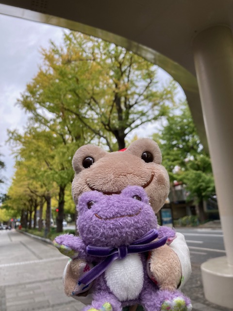 新入荷】1階ショップです。かえるのピクルス「ハーブガーデンシリーズ