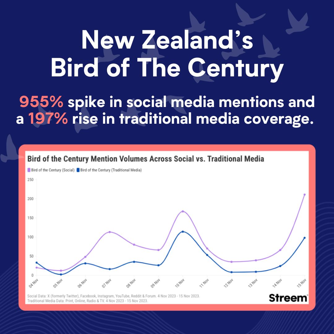 The Pūteketeke won New Zealand's Bird of the Century with 350,000 votes, a 525% increase from 2021! 
The surge is thanks to John Oliver's Last Week Tonight, causing a 955% spike in social media mentions and a 197% rise in traditional media coverage