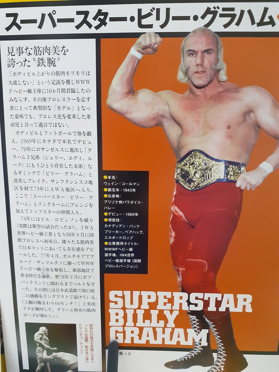 昔は架空の選手権試合なんてのもあったのか. よく分からないけど