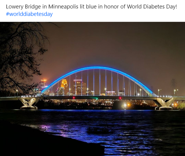 PBlueNovember's tweet photo. #WDD #NDAM @JDRFMinnesota https://t.co/JPB2hSsgTX