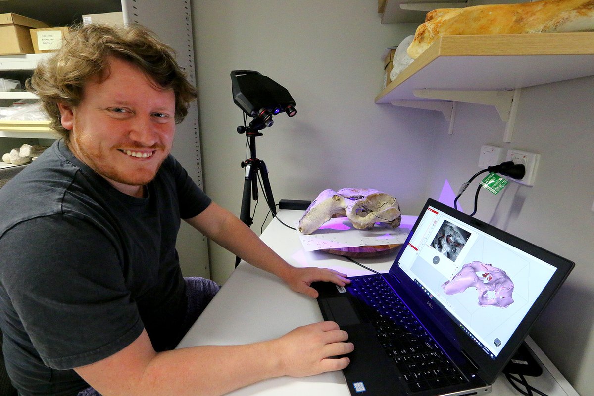 Taking it back to where it all began in early 2022, with <a href="/pietro_viacava/">Pietro Viacava</a> digitising a dugong skull! You can view this model in all its glory on our <a href="/Sketchfab/">Sketchfab</a> page skfb.ly/ozAuU