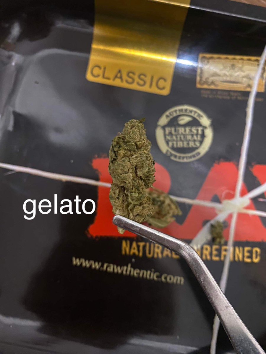 HippiestoreKT's tweet photo. 🔥Gelato 140/G📷ฝากไลน์กลุ่มใหม่ด้วยนะครับ ไลน์เก่าใช้ไม่ได้แล้วนะครับ  ดูสินค้าได้ที่โน๊ตในกลุ่มเลยครับ สั่งของแจ้งพ่อค้าในกลุ่มได้เลยครับ 📷 https://t.co/oJUclYDimY #กัญชาog #กัญชาราคาถูก #กัญชาโคราช #กัญชาออแกนิค #กัญชาเชียงใหม่ #กัญชากทม #กัญชาบางแสน #กัญชารังสิต https://t.co/zuY92X4OpS