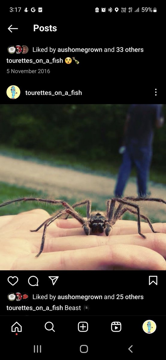 NippyNip tweet media