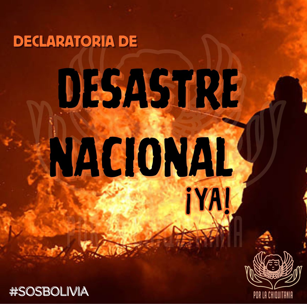 PChiquitania's tweet photo. Le pedimos al presidente @LuchoXBolivia la declaratoria de desastre en el país. 
No se da abasto y los bomberos no están equipados adecuadamente.

#SOSBolivia #NoMASEcocidio https://t.co/nj4Zx6c0YI