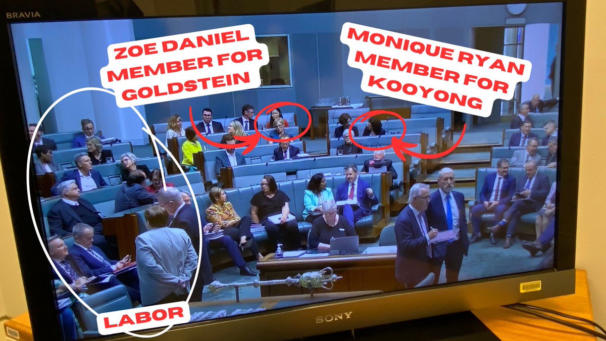 Sussan Ley tweet media