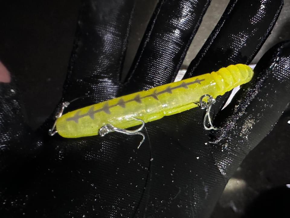marujinangler's tweet photo. 長崎の大石テスターがとんでもないのをNOTENでキャッチ!!
発売から一ヶ月、多数のランカー報告もあり数釣りができるだけのルアーではないということが証明されましたね!笑
ん?被っているキャップは噂のアレ…ですね!笑
#マルジン
#NOTEN6
#ノーテン
#弩級ランカーシーバス https://t.co/Z0shGr0g3z