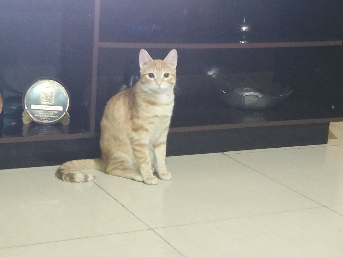 Carnage⭕️ tweet media