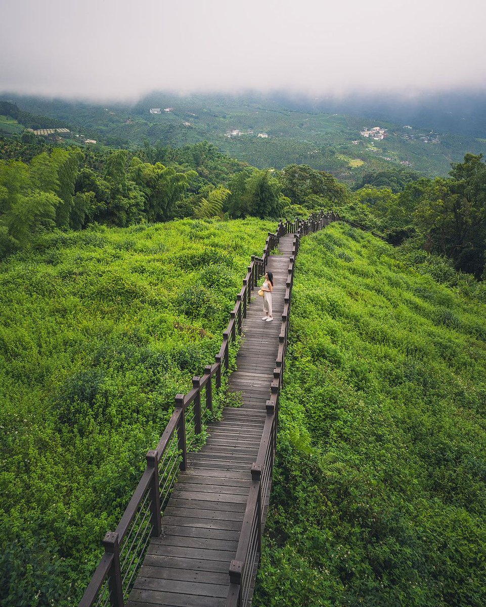 Use your footsteps to measure the world and your eyes to record the scenery.