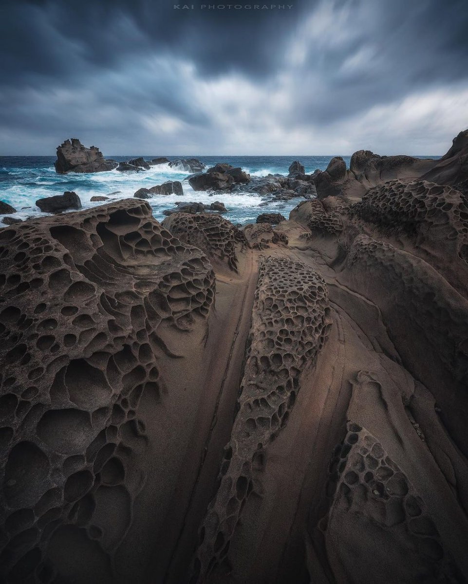 The fragrance of rice flowers tells of a good harvest, and the sound of frogs sounds.