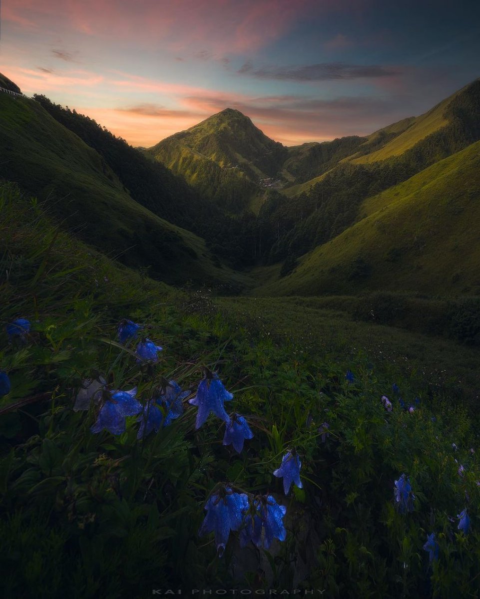 Accompany you through the four seasons and see the most beautiful scenery