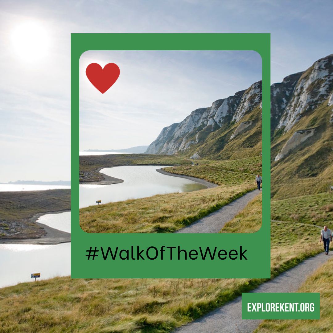 ExploreKent's tweet photo. When we asked about your favourite beaches for a winter walk, several people told us how they loved Samphire Hoe. So this week's #WalkOfTheWeek from Folkestone to Dover offers a detour to explore the award winning nature reserve πΏ
https://t.co/Ql3WFf6695
#ExploreKent https://t.co/zds6BmjDHY