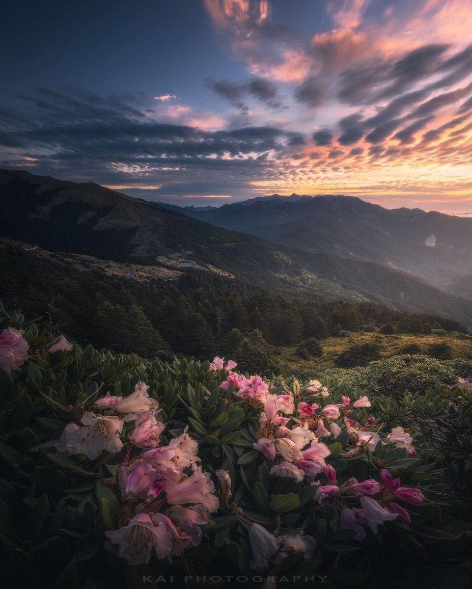 Seize the scenery in front of you instead of dreaming about the distant future