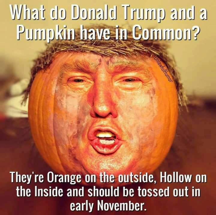 divamimi18's tweet photo. @OccupyDemocrats https://t.co/pHDCrQvQqk