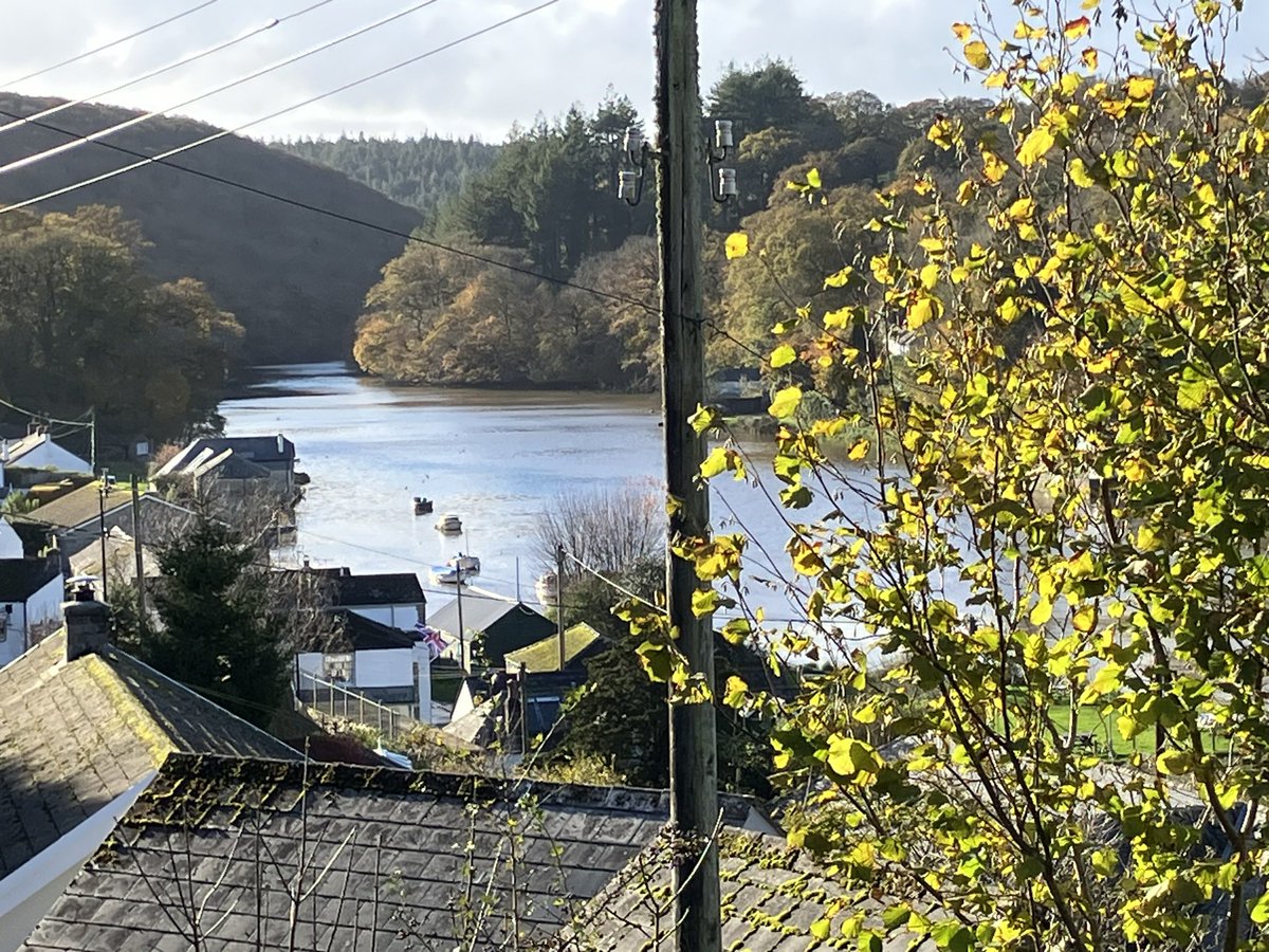 Christine Butler tweet media