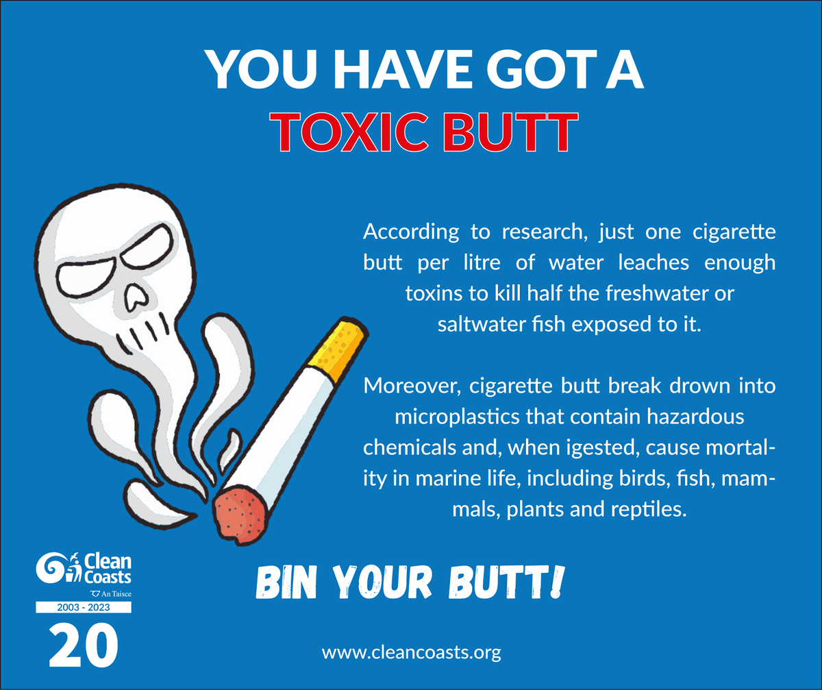 Cigarette butts contribute to microplastic contamination with 1 filter containing 15k microplastic fibres that shed at a rate of 100 microplastic fibres per day
Just one cigarette butt per L of water leaches enough toxins to kill half the fish exposed to it. 
Always #BinYourButt!