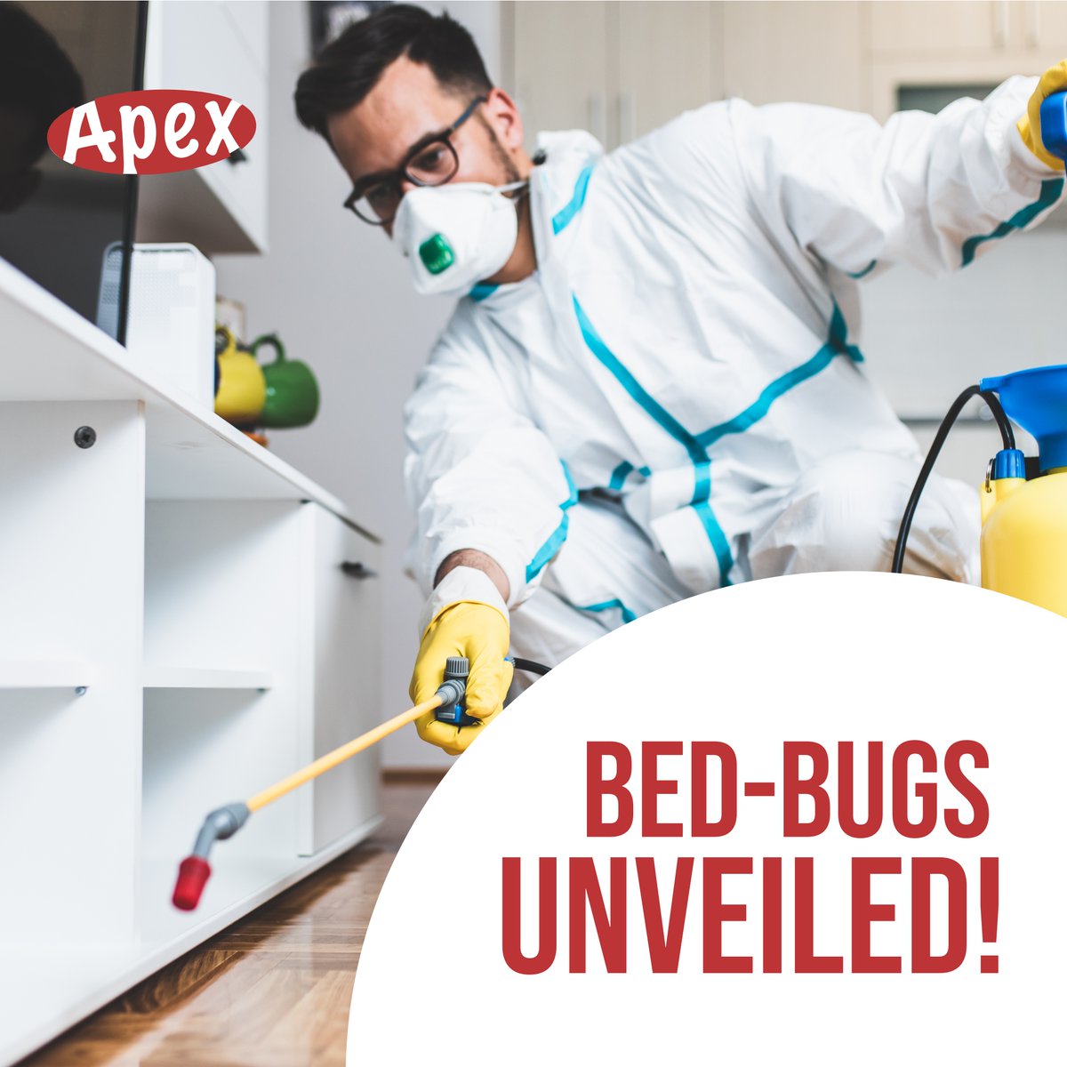 ApexTradeSolu's tweet image. &quot;🔍Bed Bugs Unveiled! 🦗
🧐 stealthy blood-suckers that hide in:
🛏️ Mattresses🪑 Furniture🏢 Wall cracks🔌 Electrical outlets🧳 Luggage
😨 They disrupt sleep &amp;amp; cause irritation. Reclaim your peace, contact us now! 📞0203 3765 844  #BedBugs #PestControl #APEXTradeSolutions&quot;