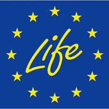RegiónMurciaBruselas 🇪🇺 tweet media