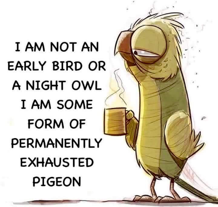 J_WBerry's tweet photo. Good morning, everyone! ☀️☕️💖🥱😅 https://t.co/Sv7ZLLiAGF
