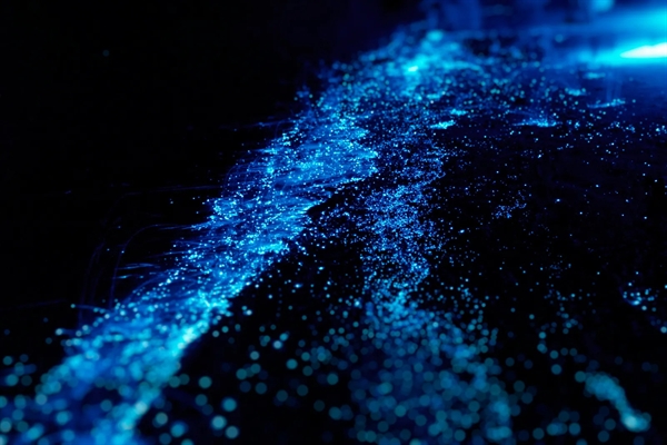 SaundersTi69923's tweet photo. Bioluminescent Coast, Maldives
In the Maldives' Vaadhoo Island, ocean waves glow in the dark. When night falls, plankton in the water emit a bright blue light, making the water surface appear to glow. Visit from June to December and dip your toes in the sparkling waters https://t.co/jtavm0FcZE