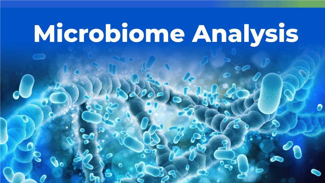 MetwareGlobal's tweet image. Struggling with the sequencing report? Our latest blog, &quot;Seven Key Analytical Components in Microbiome Analysis,&quot; has got you covered! metwarebio.com/key-analytical…
#MicrobiomeAnalysis #DataAnalytics
