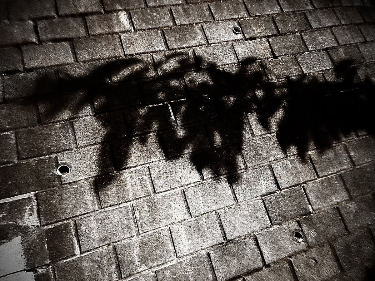 闇捕人（やみとりびと） tweet media