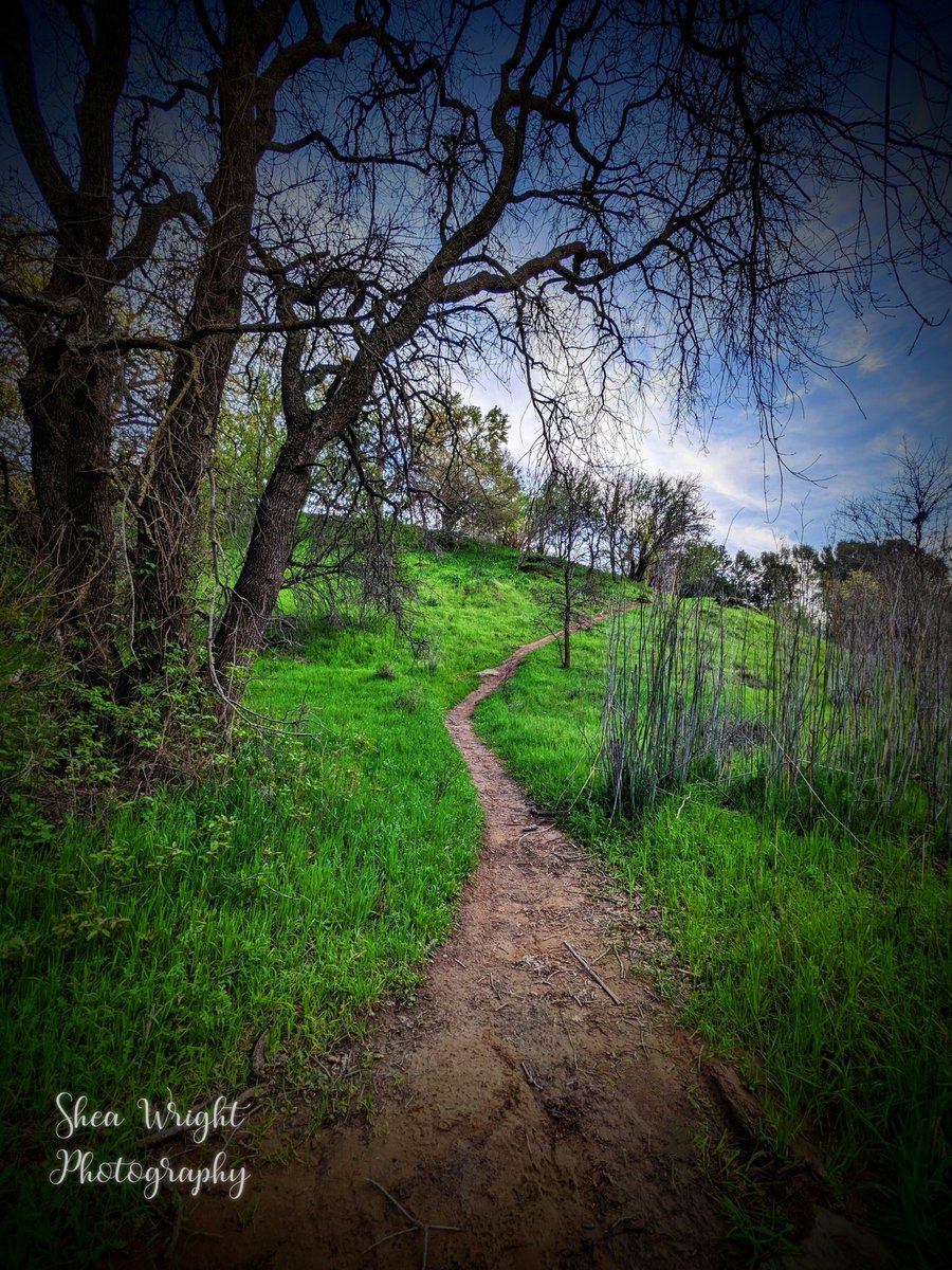 Sheatography's tweet photo. "A Road Less Traveled." I'm always reminded of Robert Frost's poem when I come upon a divergence from a main road. My less traveled road has made all the difference. Shot March 17th this 2023. 👟#lesstraveled #allthedifference #mypassion #mypath #Jesussaves #photographylover #art https://t.co/p0iAp1lDgR