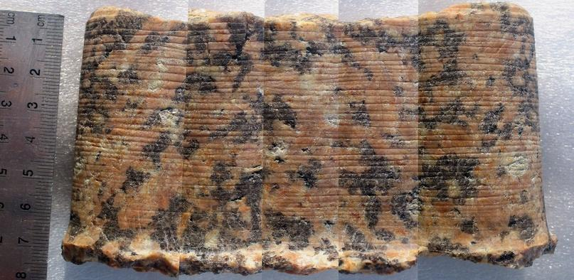 antropogenez's tweet photo. How we unwittingly trolled Joe Rogan and ‘lost ancient high technologies’
Ben and Joe were looking at photographs not of the notorious Core #7, but of the core obtained in our experiments:
https://t.co/oJ36xwqH4Q
@joe_rogan @UnchartedX1 https://t.co/uOaTs8rmTg