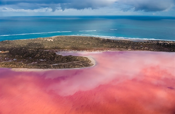 WCatherine75196's tweet photo. Pink Lake, South Australia
If you love all things pink, head to South Australia, where Lake Macdonell and Lake Bumbunga are truly bright pink. High concentrations of salt, algae and pink bacteria called halobacteria give lakes their unique color. https://t.co/fPyigbLsEd