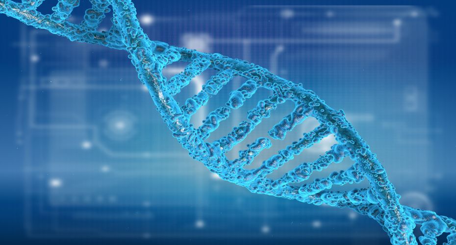 We’re launching a new £5.5million @wellcometrust funded PARADIGM project to improve diagnosis in rare disease. It will couple functional genomics data with clinical and bioinformatics expertise to empower diagnosis and discovery in genomic medicine. paradigmgenomics.org