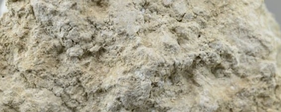 Market_Reports's tweet image. #Sepiolite, a #silicate clay #mineral has been gaining traction across different applications due to its unique properties. As industries seek sustainable and efficient materials, the demand for sepiolite is predicted to witness an upward trajectory: bit.ly/48lVZxf