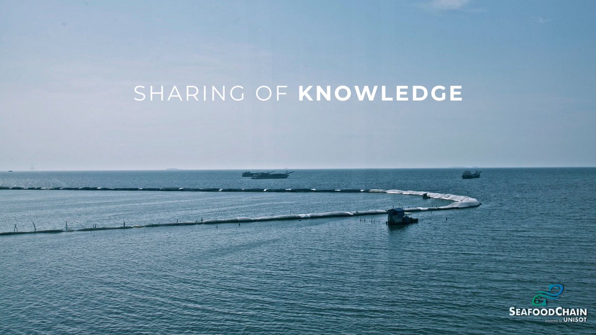 Federated learning facilitates the sharing of knowledge and best practices across the fishing and seafood industry. By collective training models, valuable insights gained by one vessel or farm can be transferred to others, contributing to a collaborative learning ecosystem.