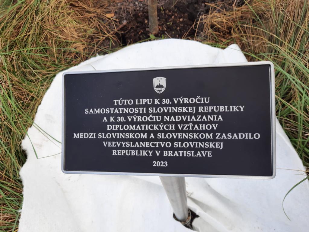 SLOinSVK's tweet photo. On the occasion of the 30th anniversary of the diplomatic relations between 🇸🇰 and 🇸🇮 the ambassador Dr. Raščan planted a linden 🌳 in Nitra together with the mayor Marek Hattas, entrepreneurs Marian and Michal Horvath, and the secretary general of the SM NGO Dr. Marek Sobola. https://t.co/ub4mwSC1eB