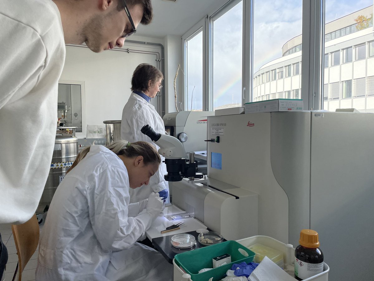 Eva Stoger's Lab tweet media
