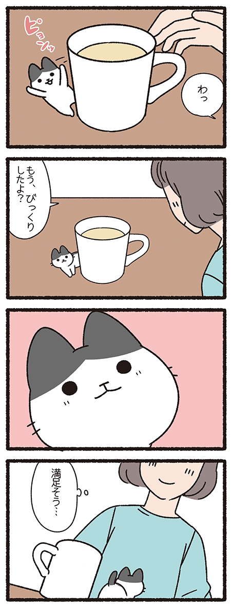 ねこようかい ころぽっくる
 #ねこもんすたー #ねこようかい 